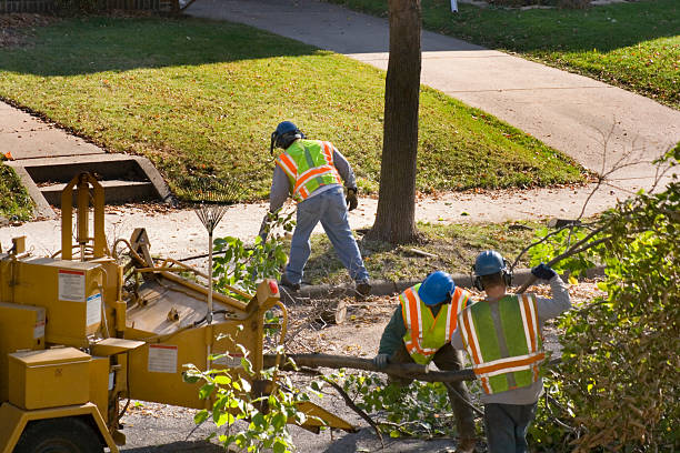 Best Lawn Maintenance Plans  in Whiting, WI